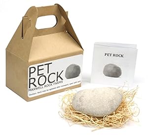 pet rock instruction manual