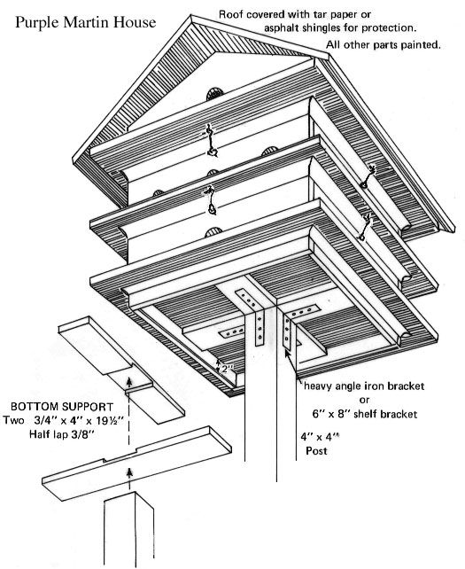 building bird feeders instructions