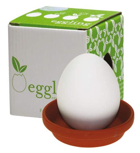 eggling crack and grow instructions