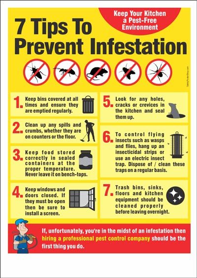 fire safety instructions chart