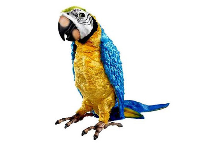 furreal squawkers mccaw parrot instructions